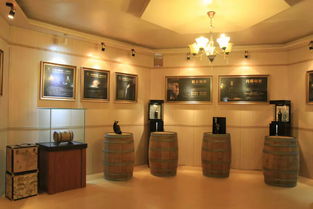 啤酒博物馆与酱油厂的工业之旅 端州工业旅游新体验