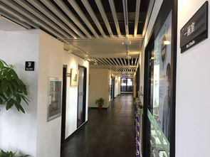 北艺画室汉口二七路校区统考告捷 高分占比领跑，实力铸就辉煌