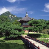 重建家庭的希望，变卖家当以实现3次试管婴儿梦想