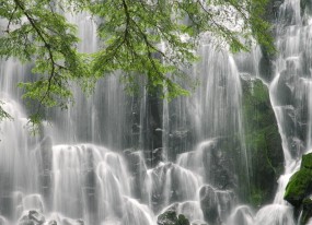 广州军区武汉总医院，试管婴儿技术的先锋力量